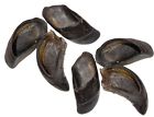 013267 Butcher Shop Cow Hooves Pack 817113013267