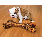 020091213493 Inch Dino Bone Smoked Dog