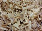 088234694844 123 Treats Pig Ears