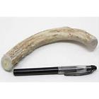 1 Deer Valley Dog Chews Large Antler Dogs All 680474059119