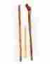 1000p Canine Caviar Pet Foods Inc 12 Inch All Natural Bully Sticks