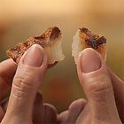 10079100527776 Milos Kitchen Dog Treats Chicken Grillers Recipe Pack Milo