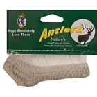 10121806 Qt Dog Antlerz Deer Antler Chew Medium 671963013453