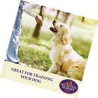 10180 Old Mother Hubbard Crunchy 076344101802