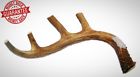 11275559 Big Dog Antler Chews Xl Deer Extra Large 0616878906131