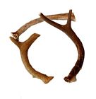 11275561 Big Dog Antler Chews Pack Medium Deer Inches 616878906162 11275561 Big Dog Antler Chews Pack Medium Deer Inches 616878906162