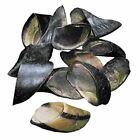 13243 Butcher Shop Bulk Bag Of Cow Hooves Dog 817113013243