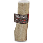 2729760 Good Lovin Naturally Shed Colossal Elk Antler Dog 800443273241