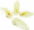 310008 Redbarn Pet Products Inc Naturals Lamb Ears Dog 785184310083