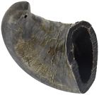 3552 Qt Dog Water Buffalo Horn Treat Each Small 671963014719