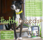 5200-gset-001 Healthy Breeds Gordon Setter 840235146148