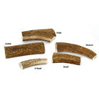 610563285 440 Happy Dog Of Cape Cod Whole Elk Antler 610563285440