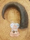 611403203822 Abo Gear Outback Jack Water Buffalo Bully Horns