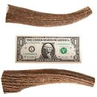 638908987095 Antlers Bones For Dogs Large Elk Pack Of