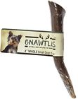 641361998768 Pet Parents Gnawtlers Premium