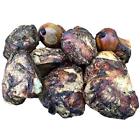 680168801857 Lillys Choice Dog Bones For Large Aggressive Chewers