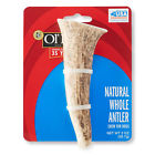681131178853 Roy Ol Natural Whole Antler Chew For Dogs