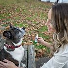 688713584408 Itch Remedies Natural Dog
