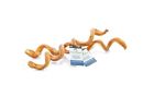 728290210168 Barkworthies 2-pack Curly Bully