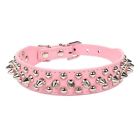 742010942603 Aolove Pet Collar Necklace