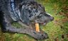 742797788524 Durkha New Yak Cheese Dog Chews
