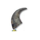 742853071027 Advance Pet Products Buffalo Horn Dog Chew Medium