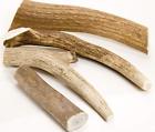 748252050359 Ecokind Pet Treats Elk Antler Tips Pack Of