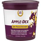 86621751101 75110 Farnam Horse Health Apple Flavored Electrolytes Lb