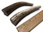 764966980256 Doggie Dealz Premium Elk Antlers For Dogs By