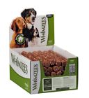 815436016156 Paragon Pet Products Usa Inc