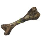 857270008256 Nature Gnaws Monster Beef Femur Bones For Large