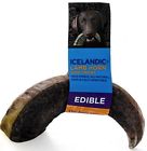 861616000231 Icelandic Dog Lamb Horn Large Free Shipping