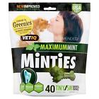 92000002016 Minties Teeth Cleaner Dental Dog Treats Count