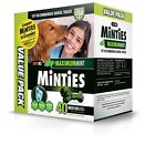 92000004032 Vetiq Minties Dog Dental Bone Treats For Dogs 818145018107