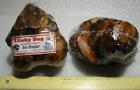 99113x4 Lucky Dog Bones 4 740780991135