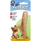 A6 Pet Qwerks Chicken Small 890035004797