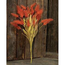 Cw-fisb68031 Actifo Dog Tail Grass Bush Orange 20 Inch