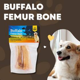7576 Advance Pet Product Water Buffalo Femur Bone All-natural Long-lasting Odor-free Dog Chew Treat
