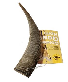 Advance Pet Product 8885985018082 Golden Goat Horn Dog Chew Natural Marrow Treat Long-lasting All Sizes