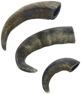 Advance Pet Products 742853075063 Buffalo Horn 3 Pack Size