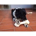 B074hj4l6j Dog Treat Premium Knot Bones Chewing Made With 688977211072