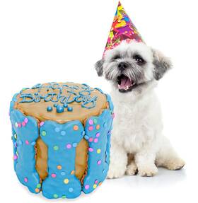 Betapet 860009667839 Dog Birthday Cake - Rice Dessert With Human Grade Ingredients
