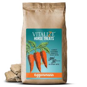 Biozyme Inc 033471000491 Vitalize Horse Treats - Low Sugar Carrot Flavored
