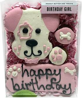 Biscuit Company 705353738623 Decorated Birthday Girl Pink Dog Treats - Crunchy Textu