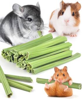 Bissap 705353156304 25 Pcs Guinea Pigs Chew Sticks Natural Papaya Stems Bunny Chews Treats F