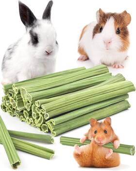 Bissap 726084896765 35pcs Rabbit Chew Sticks Natural Papaya Stems Bunny Chews Treats For Rab