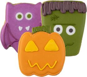 Bliss Foods 744110142747 Hand-decorated Dog Cookies 3 Pack In Gift Box Extra Large Treats 62g Coo