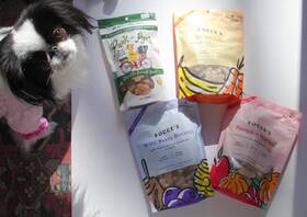 Bocce & Punk-n-pyes 860001067705 Bocces Natural Organic Dog Treats Berry Pumpkin Carrot And Punk-n-pye Lot 4