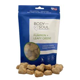 Body And Soul 850044337002 Pumpkin Leafy Greens Crunchy Dog Treats 10 Ounce Pack Of 1