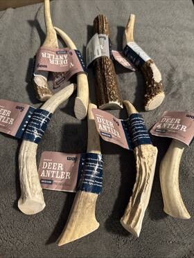 Bones & Chews 195515028707 Lot 8- M - Whole Deer Antler Wag Dog Usa